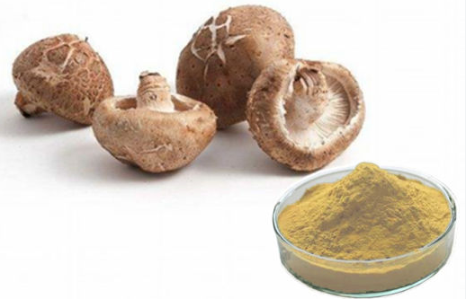 lentinus edodes shiitake extract.png